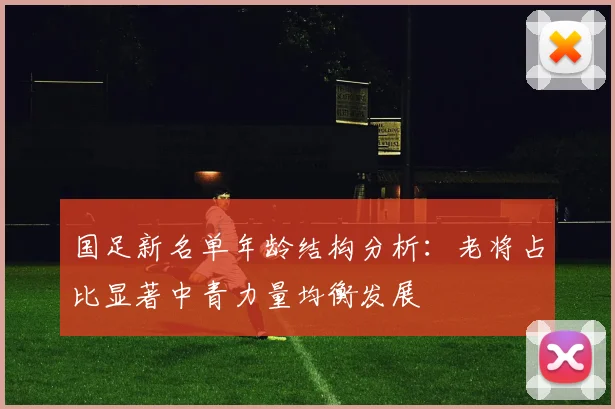 国足新名单年龄结构分析：老将占比显著中青力量均衡发展